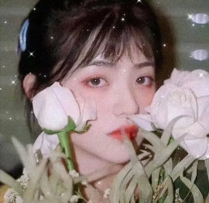 温驯之夜